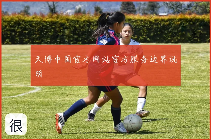 天博中国官方网站官方服务边界说明